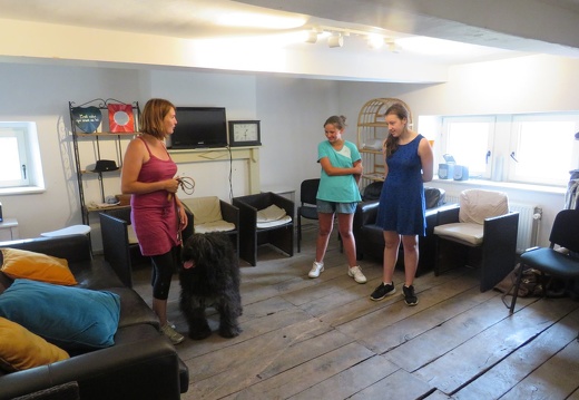 001 pedadog enfant chien stage juillet 2018