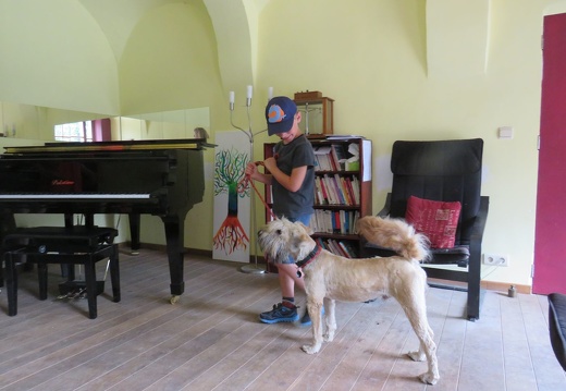 025 pedadog enfant chien stage juillet 2018