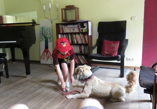 033 pedadog enfant chien stage juillet 2018