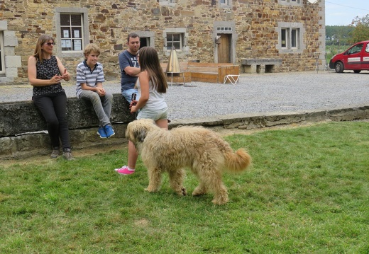 041 pedadog enfant chien stage juillet 2018