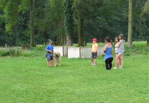 092 pedadog enfant chien stage juillet 2018