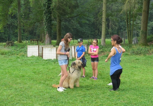 096 pedadog enfant chien stage juillet 2018