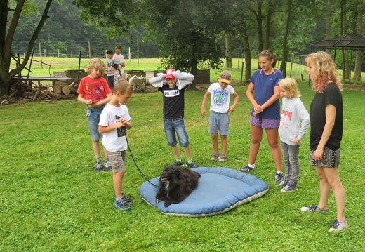 Stage été juillet 2018