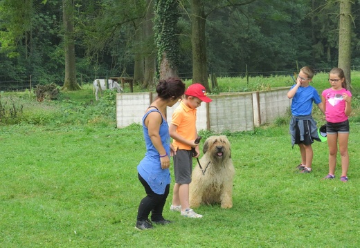 107 pedadog enfant chien stage juillet 2018