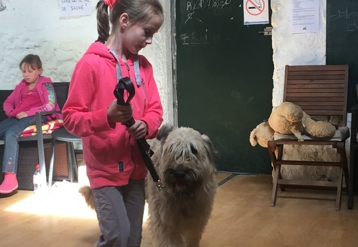 17 pedadog enfant chien stage aout 2017 lundi