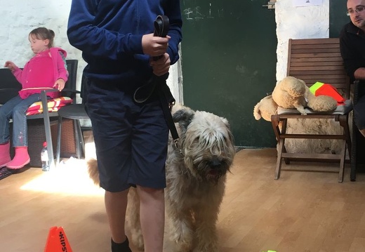 24 pedadog enfant chien stage aout 2017 lundi