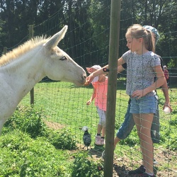 Lundi stage été juillet 2017