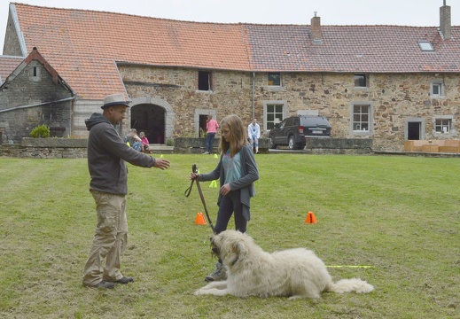 09 pedadog enfant chien stage juillet 2017 mardi