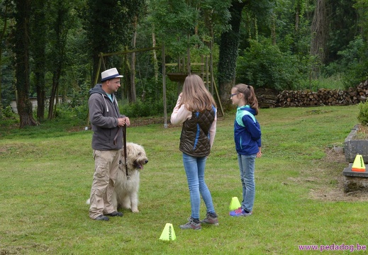 13 pedadog enfant chien stage juillet 2017 mardi