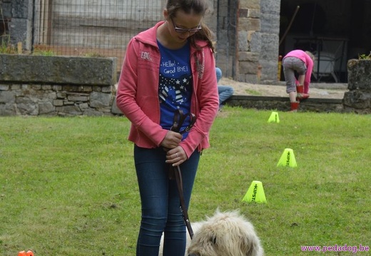 17 pedadog enfant chien stage juillet 2017 mardi