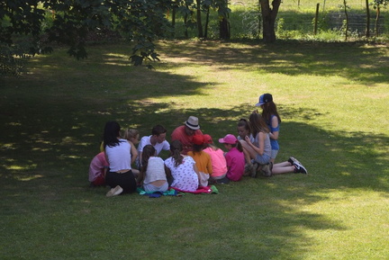 01 pedadog enfant chien stage juillet 2017 mercredi