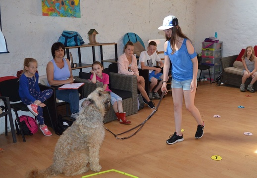 06 pedadog enfant chien stage juillet 2017 mercredi