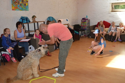 08 pedadog enfant chien stage juillet 2017 mercredi