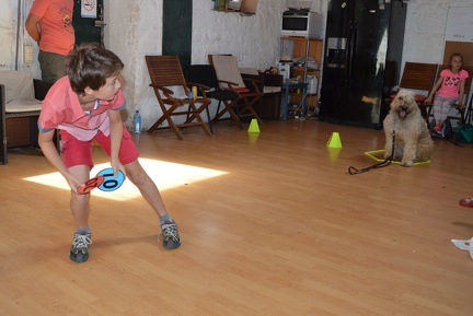 11 pedadog enfant chien stage juillet 2017 mercredi