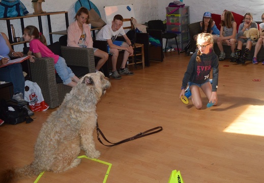 14 pedadog enfant chien stage juillet 2017 mercredi