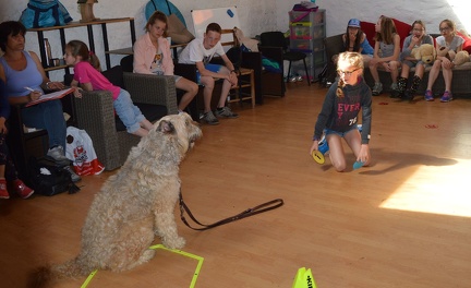 14 pedadog enfant chien stage juillet 2017 mercredi