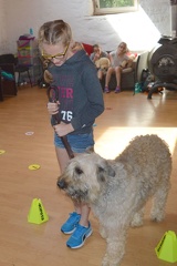 13 pedadog enfant chien stage juillet 2017 mercredi