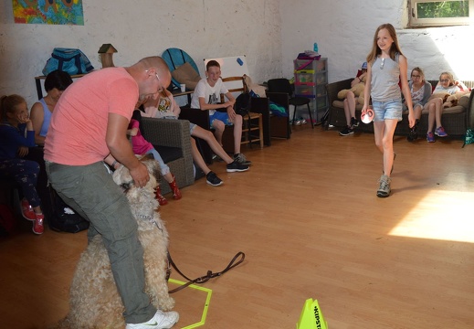 16 pedadog enfant chien stage juillet 2017 mercredi