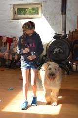 15 pedadog enfant chien stage juillet 2017 mercredi