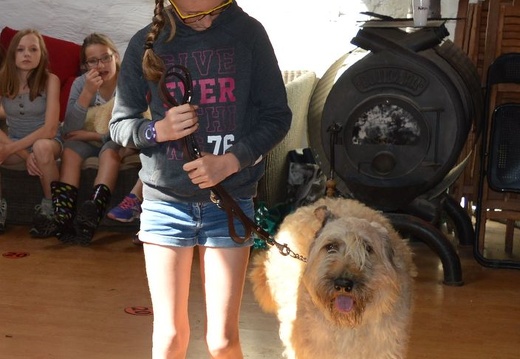 15 pedadog enfant chien stage juillet 2017 mercredi