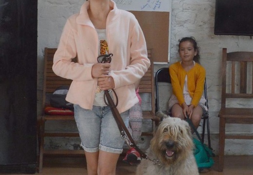 18 pedadog enfant chien stage juillet 2017 mercredi