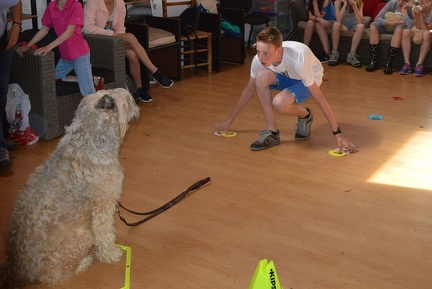 17 pedadog enfant chien stage juillet 2017 mercredi