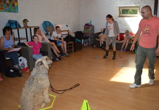 19 pedadog enfant chien stage juillet 2017 mercredi