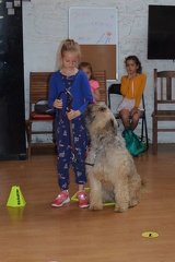 21 pedadog enfant chien stage juillet 2017 mercredi