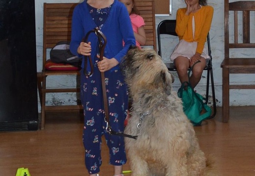 21 pedadog enfant chien stage juillet 2017 mercredi