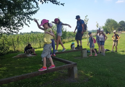 1 pedadog enfant chien stage juillet 2017 vendredi