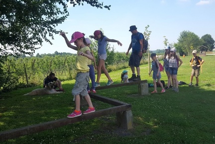 1 pedadog enfant chien stage juillet 2017 vendredi