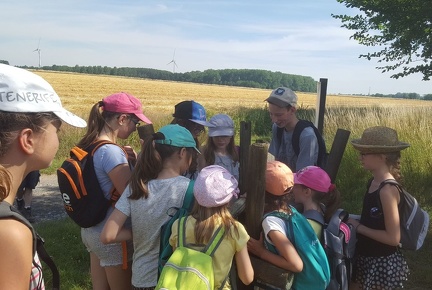 15 pedadog enfant chien stage juillet 2017 vendredi