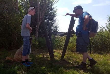 5 pedadog enfant chien stage juillet 2017 vendredi