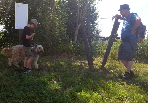 6 pedadog enfant chien stage juillet 2017 vendredi