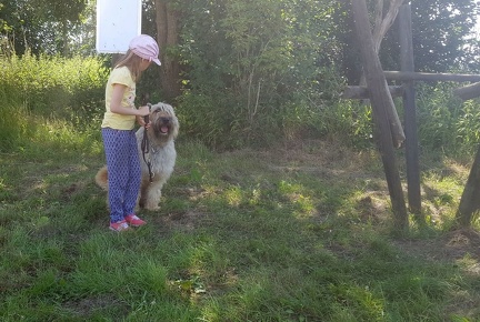 8 pedadog enfant chien stage juillet 2017 vendredi