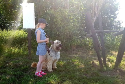 10 pedadog enfant chien stage juillet 2017 vendredi