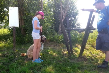 12 pedadog enfant chien stage juillet 2017 vendredi