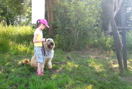 13 pedadog enfant chien stage juillet 2017 vendredi