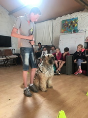 01 pedadog enfant chien stage aout 2017 lundi