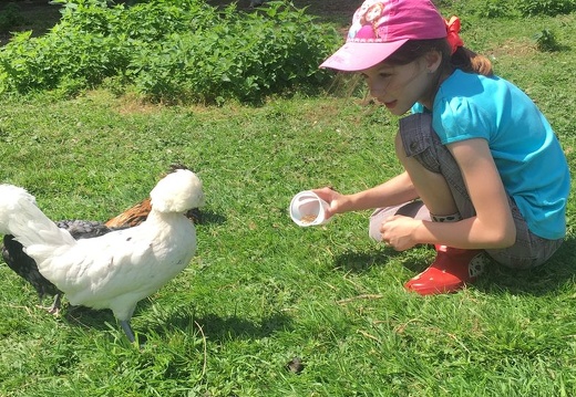 53 pedadog enfant chien stage aout 2017 lundi