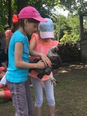 82 pedadog enfant chien stage aout 2017 lundi