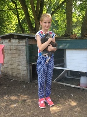 85 pedadog enfant chien stage aout 2017 lundi