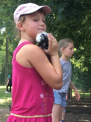 88 pedadog enfant chien stage aout 2017 lundi