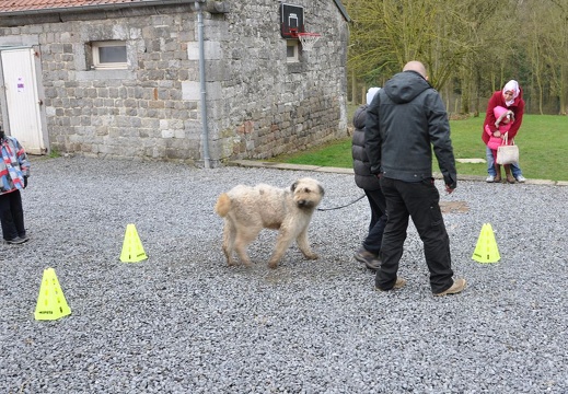 48 enfant chien paques