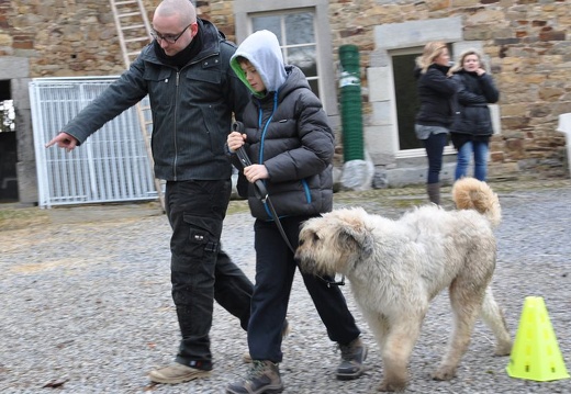 52 enfant chien paques