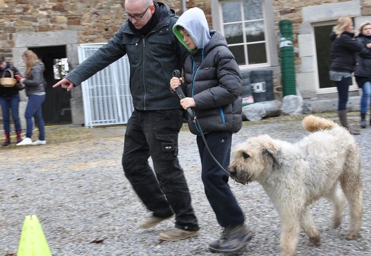 53 enfant chien paques