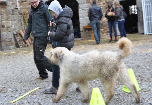 54 enfant chien paques