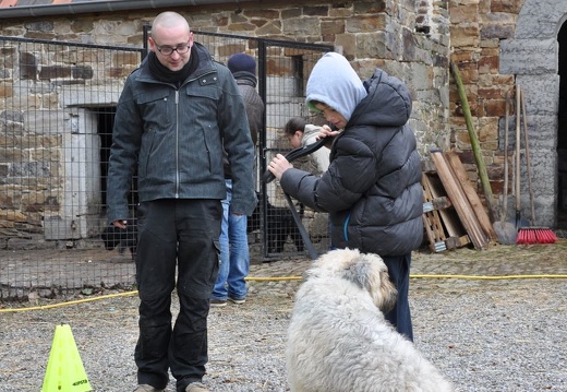 56 enfant chien paques