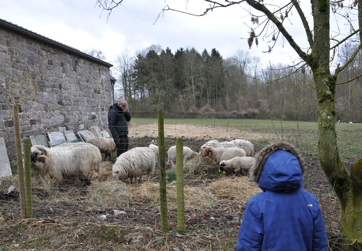 59 enfant chien paques
