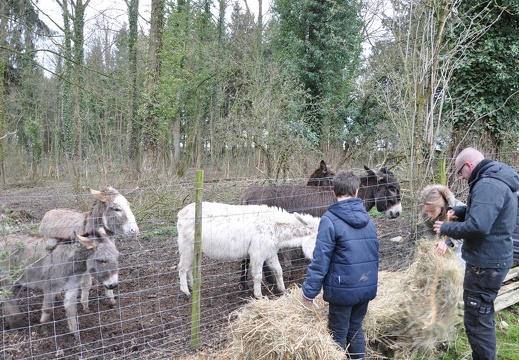 62 enfant chien paques